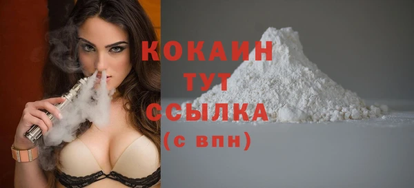 молекула духа Белоозёрский