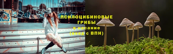молекула духа Белоозёрский