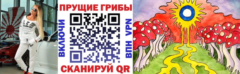 Галлюциногенные грибы ЛСД  hydra онион  Торопец 
